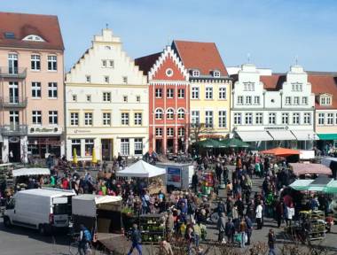 Gartenmarkt Gartenmarkt
