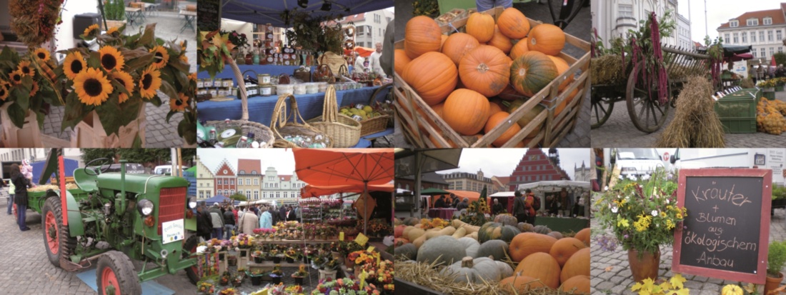 Erntedankmarkt 2016 © Pressestelle Der Erntedankmarkt mit seinen Facetten aus herbstlicher Dekoration und angebotenen Waren