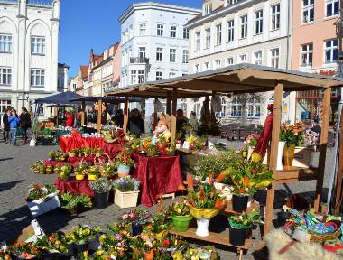 Bei strahlendem Sonnenschein wird osterliches Sortiment angeboten - © Marcus Müller Bei strahlendem Sonnenschein wird osterliches Sortiment angeboten