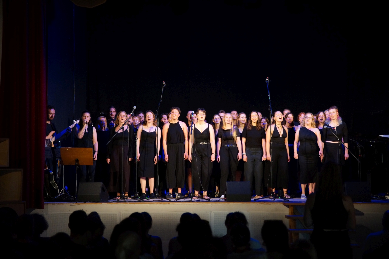 Der Mufa Pop-Chor bei der Vocal Night in der Straze