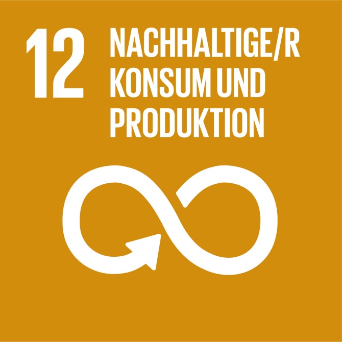 SDG-icon-12 SDG 12