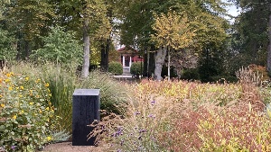 Beet auf dem Neuen Friedhof © Pressestelle der Universitäts- und Hansestadt Greifswald Auf dem Neuen Friedhof sind mehr als 3500 Pflanzen und Bäume beheimatet