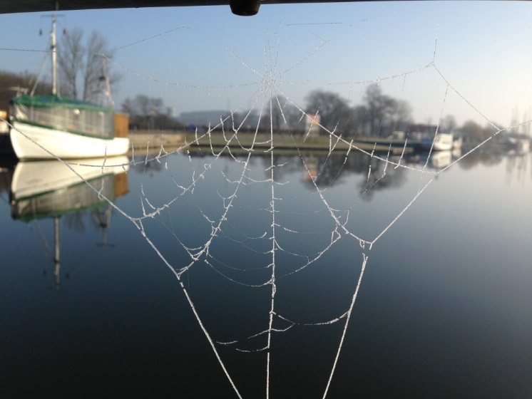 Diana Gürtler: Spaziergang an einem wunderschönen, kalten Februarmorgen, Spinnennetz auf der Fußgängerbrücke im Museumshafen - © Diana Gürtler Diana Gürtler: Spaziergang an einem wunderschönen, kalten Februarmorgen, Spinnennetz auf der Fußgängerbrücke im Museumshafen