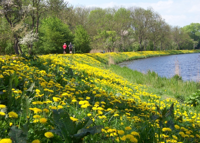 Hartmut Schmeling: Ryck-Walk auf dem Treidelpfad - © Hartmut Schmeling Hartmut Schmeling: Ryck-Walk auf dem Treidelpfad
