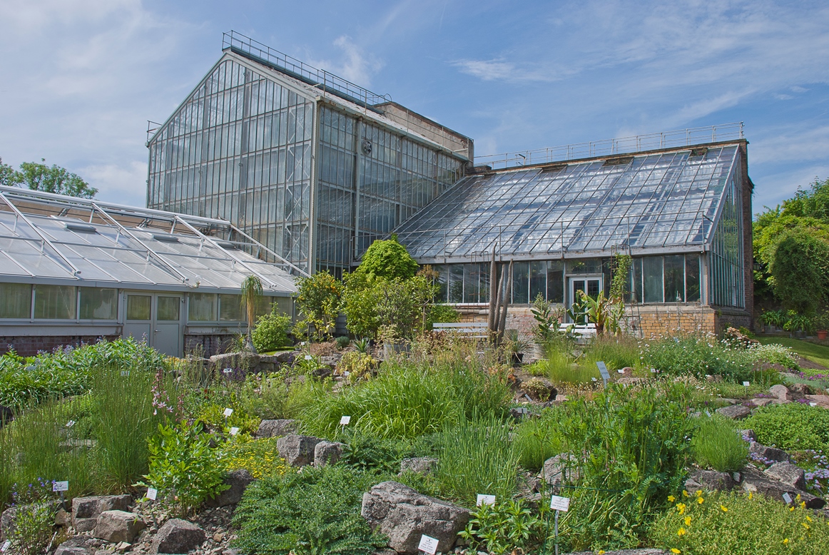Botanischer Garten, Foto Pressestelle Universität - Internet