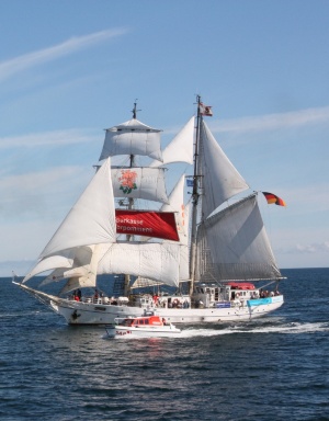 Greif bei Hanse Sail, Foto Mario-Alois Langforth Bild