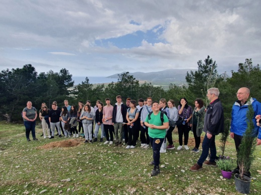 gemeinsame Pflanzaktion, Foto Anett Dahms (6) © Anett Dahms Schüler aus Samos und Greifswald pflanzen einen Baum