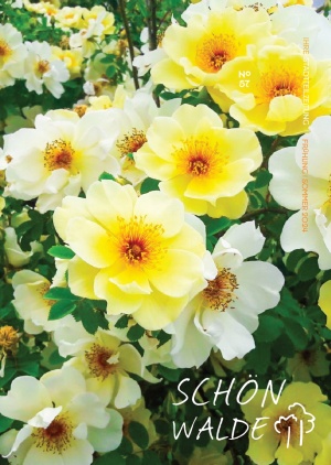 Mehrgenerationenhaus Aktion Sonnenschein Titelseite der Stadtteilzeitung Schönwalde 2 mit der Nr. 57 im Frühling/Sommer 2024: Zahlreiche Blüten