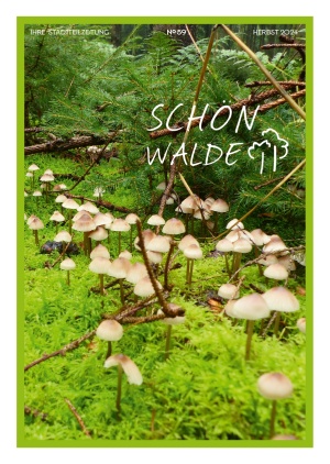 Mehrgenerationenhaus Aktion Sonnenschein Titelseite Stadtteilzeitung Schönwalde 2 Nr. 59 Herbst 2024: Auf einem grünen Waldboden wachsen Pilze