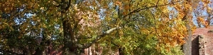Klosterruine im Herbst © Christoph F. Kaden Klosterruine Eldedena im Herbst