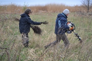 Aufforstung im Küstenschutzwald Eldena, Pressestelle, 12.4.2017 DSC_0029 © Pressestelle Bild