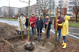 Bäume für die Lomonossowallee, Foto Pressestelle (4) © Pressestelle Bäume für die Lomonossowallee