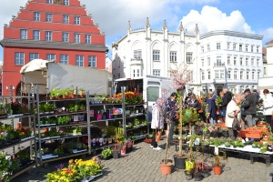 Greifswalder Gartenmarkt 2016, Foto Pressestelle (29) © Pressestelle Greifswalder Gartenmarkt 2016