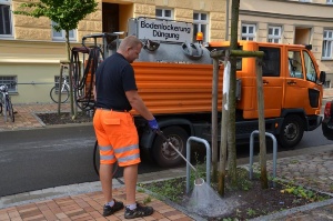 Guido Wegner gießt die städtischen Bäume, Foto Pressestelle (2) - Kopie © Pressestelle Bäume in der Wiesenstraße werden gegossen