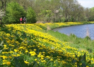 Hartmut Schmeling Ryck-Walk © Hartmut Schmeling Bild