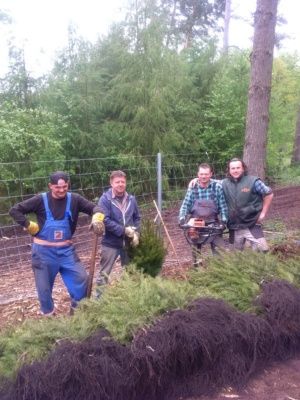 Mitarbeiter der Baumschule Schrader aus Eichhorst in Brandenburg helfen bei der Aufforstung, Foto Bent Knoll (3) © Bent Knoll Mitarbeiter der Baumschule Schrader aus Eichhorst in Brandenburg helfen bei der Aufforstung