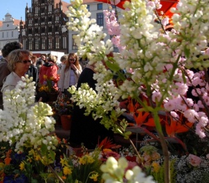 Oster- und Blumenmarkt 2010, Foto Peter Binder (kl. Datei) (1) © Foto: Peter Binder Bild