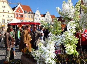 Oster- und Blumenmarkt 2014, Foto Peter Binder © Peter Binder Oster- und Blumenmarkt 2014