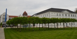 Pommersches Landesmuseum, Foto Pressestelle (2) © Pressestelle Bild