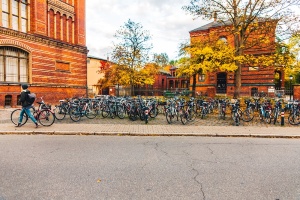 Fahrraeder_Alter_Campus(WallyPruss)_ganzes_Bild © Wally Pruß Fahhräder am alten Campus