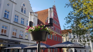 Greifswald blüht auf_2020 © Theres Behnke_ © Theres Behnke Bild