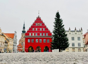 253905816_294711742524009_1147684556657059086_n © Franziska Vopel Greifswalder Marktplatz. Vor dem roten Rathaus steht der Weihnachtsbaum.