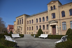 Bänke im Greifswalder Stadtgebiet werden aufgestellt, Foto Pressestelle (1) © Pressestelle Bänke am August-Bebel-Platz