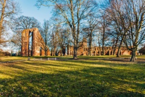 Klosterruine Eldena © Wally Pruß Bild