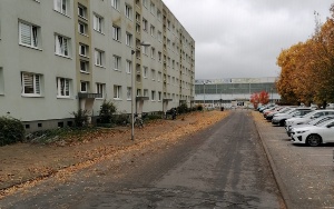 Laubhaufen auf der Straße © UHGW, Tiefbau- und Grünflächenamt Laubhaufen auf der Straße