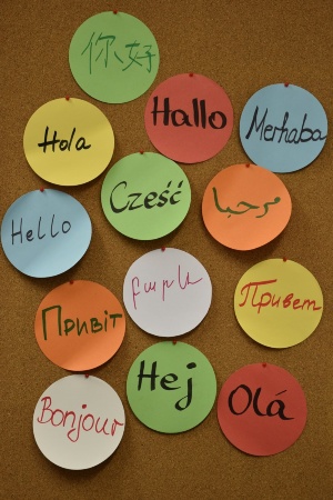 Tag der Muttersprache (c) Anna Gatzke © Anna Gatzke Plakat für Grüßen in vielen Sprachen