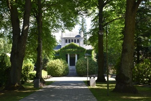 Neuer Friedhof © Pressestelle der Universitäts- und Hansestadt Greifswald Hauptweg auf dem Neuen Friedhof in Greifswald