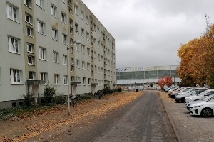 Laubhaufen auf der Straße © Tiefbau- und Grünflächenamt der Universitäts- und Hansestadt Greifswald Herabgefallenes Laub auf der Straße in Greifswald