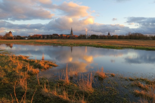 Blick auf die Silhouette von Greifswald