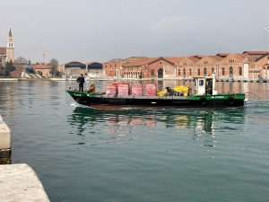 Torfmoose gondeln durch Venedig © Christy Gast Torfmoose gondeln durch Venedig