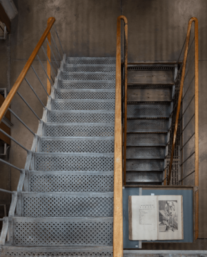 Alte Universitätsbibliothek © Karl Isekeit Blick von oben auf eine Treppe in der Alten Universitätsbibliothek Greifswald
