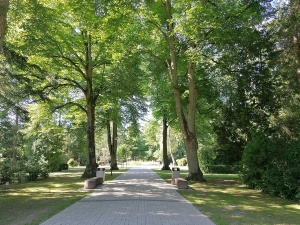 Eingang Neuer Friedhof © Pressestelle der Universitäts- und Hansestadt Greifswald Eingang Neuer Friedhof mit zwei Bänken sowie mehreren Bäumen rechts und links vom Gehweg
