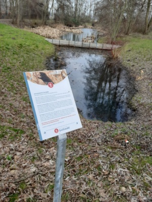 Hinweistafel zum BIber © Maren Lux, Stadtbauamt Eine Hinweistafel im Greifswalder Stadtgebiet an einem Teich gibt wissenswerte Informationen zum Biber