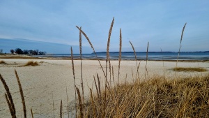 Strandbad Elden © Pressestelle der Universitäts- und Hansestadt Greifswald Blick auf das Strandbad Eldena im Februar 2023 bevor die Sandaufschüttung beginnt