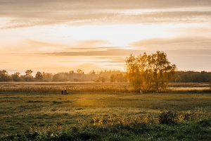 Wiesen_vor_Greifswald_Okt2022(WallyPruss)_2_ganzes_Bild © Wally Pruß Ein Paar spaziert im Sonnenuntergang durch die Wiesen vor Greifswald