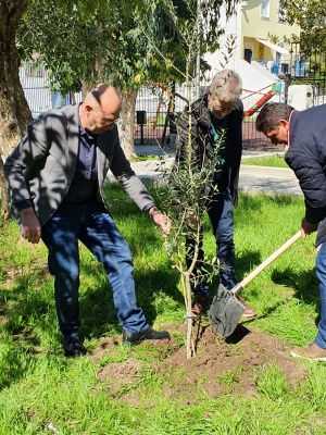 Pflanzaktion in Samos © Anett Dahms Vertreter aus Samos und Oberbürgermeister Dr. Stefan Fassbinder pflanzen gemeinsam einen Baum als Symbol einer wachsenden Freundschaft