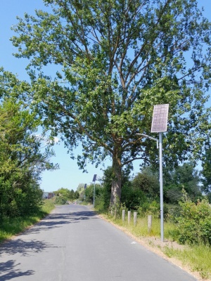 Straße Am Neuen Friedhof © Tiefbau- und Grünflächenamt Neue Straßenlaternen mit Solarpaneel entlang der Straße Am Neuen Friedhof