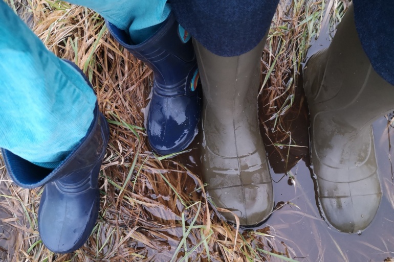 Kleine und große Gummistiefel im Moor