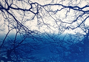 Ramona Czygan, Astadern 70x100 cm Bild