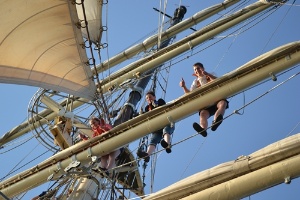 Segeln mit der Greif 2017, Wir packen das, Foto Pressestelle © Pressestelle Studenten segeln mit der Greif