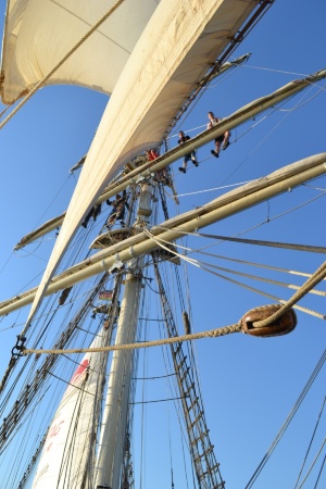 Segeltörn mit Studenten 19.5.2017 (12) © Pressestelle Segeltörn mit Studenten 2017