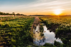 Sonnenuntergang_Deich(WallyPruss)_ganzes_Bild © Wally Pruß Sonnenuntergang am Deich