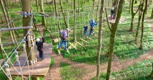 Waldseilpark Greifswald, Foto Verein für Klettersport und Erlebnispädagogik © Verein für Klettersport Bild