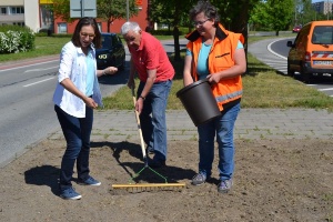 Wildblumenaussaat 2018, Foto Pressestelle (17) - Kopie © Pressestelle Jeannette von Busse, Peter Multhauf und Annett Mauf säen Wildblumensamen aus