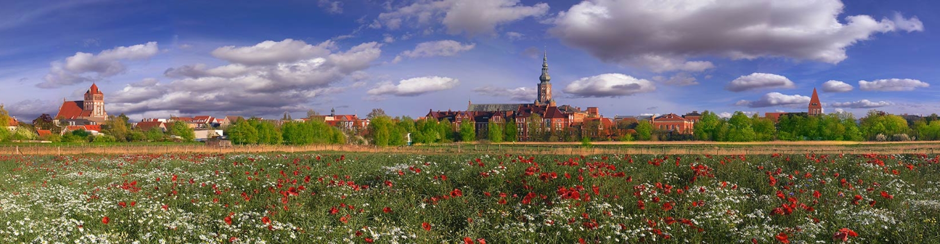 Kirchen in Greifswald