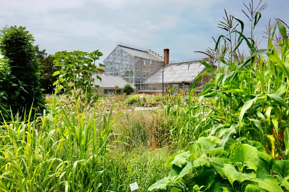 Botanischer Garten